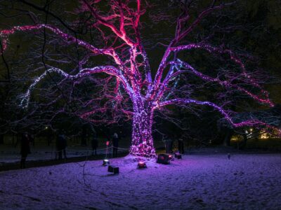 Christmas Garden im botanischen Garten Berlin