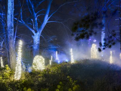 Christmas Garden im botanischen Garten Berlin