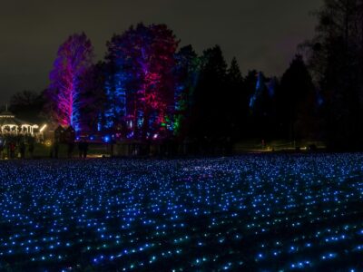 Christmas Garden im botanischen Garten Berlin