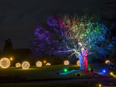 Christmas Garden im botanischen Garten Berlin