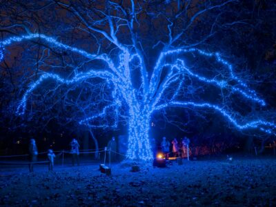Christmas Garden im botanischen Garten Berlin