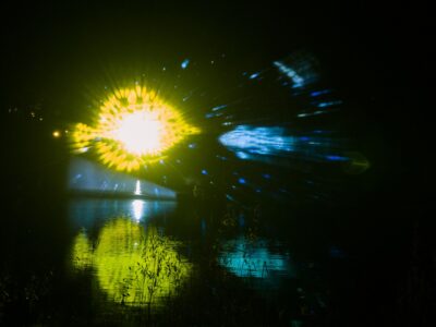 Christmas Garden im botanischen Garten Berlin