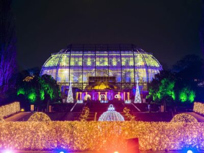 Christmas Garden im botanischen Garten Berlin