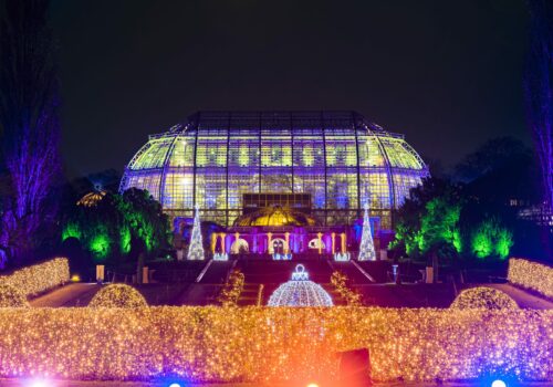 Christmas Garden im botanischen Garten Berlin