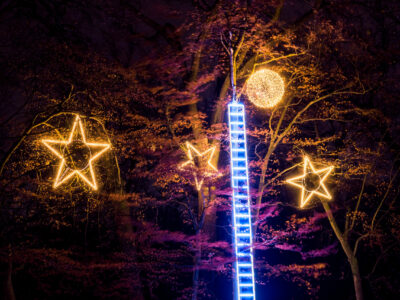 Weihnachten im Tierpark Berlin