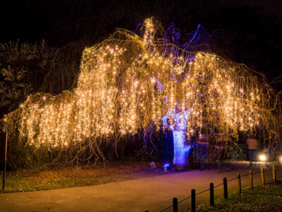 Weihnachten im Tierpark Berlin